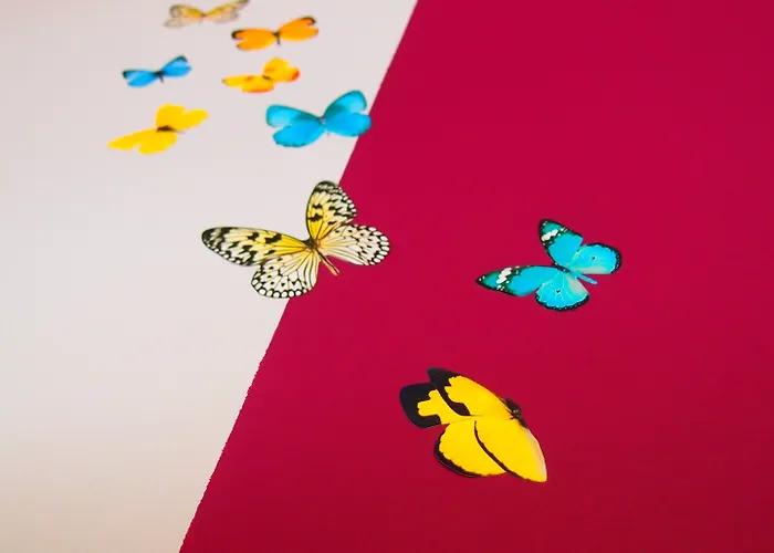 普菲弗贝特酒店 *